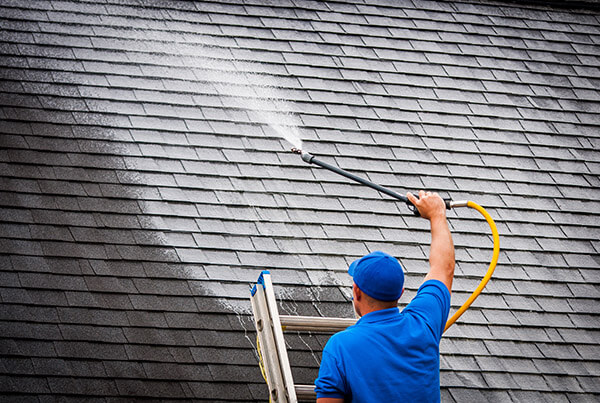 roof cleaning service company