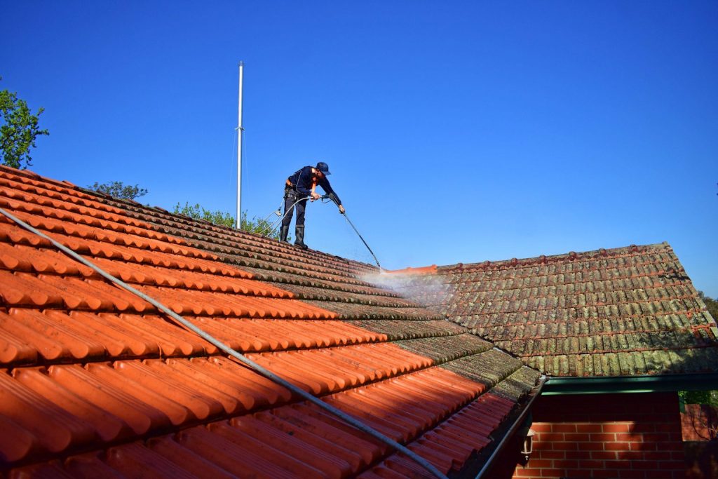 Professional Roof Cleaning Services